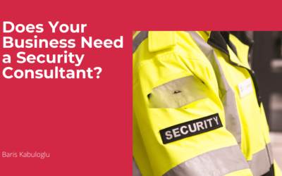 Does Your Business Need a Security Consultant?